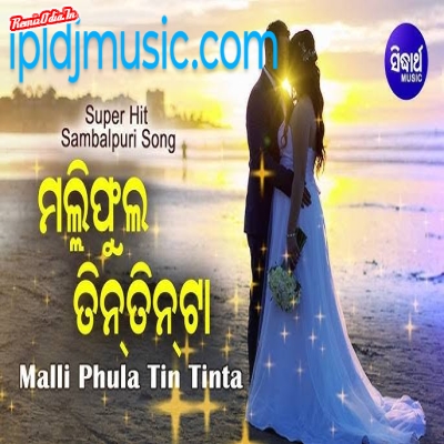 Mali Phula Teen Teen Ta Instrumental